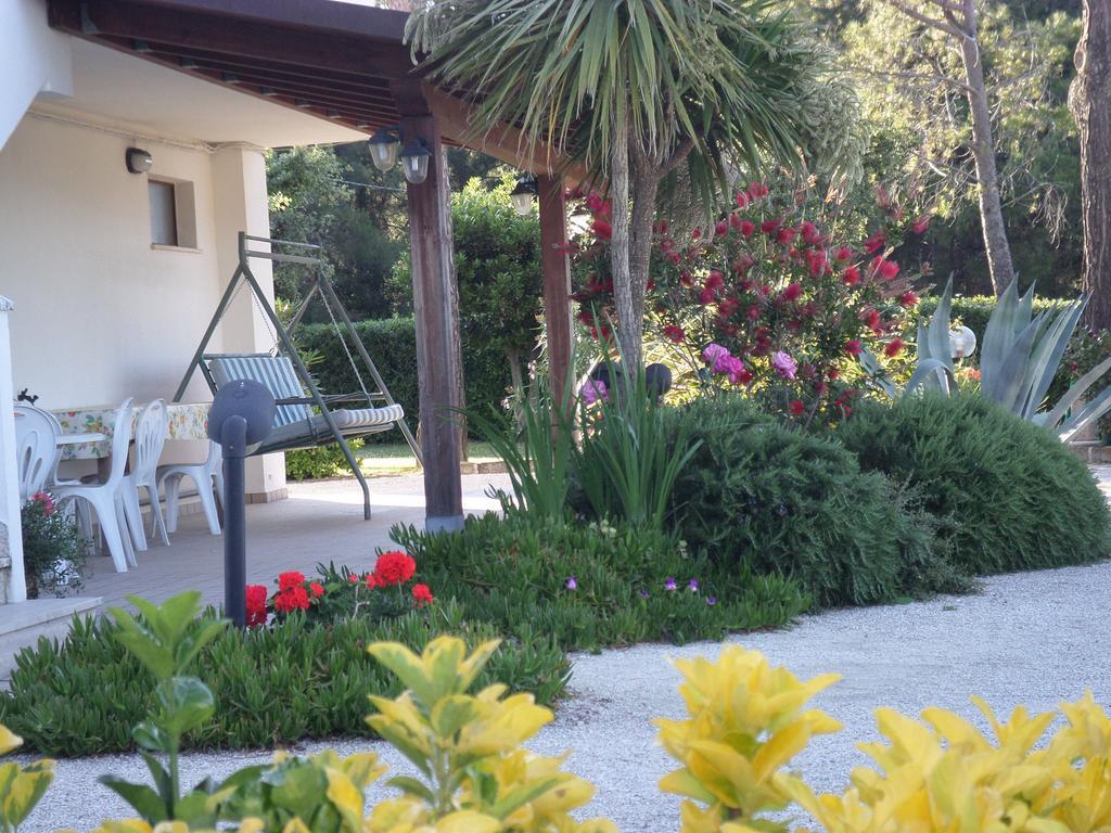 Bed And Breakfast " Il Tesoro Di Mario " Falconara Marittima Dış mekan fotoğraf