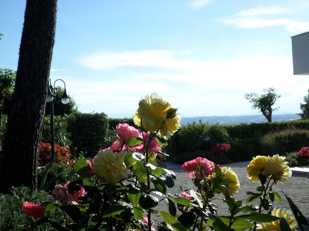 Bed And Breakfast " Il Tesoro Di Mario " Falconara Marittima Dış mekan fotoğraf